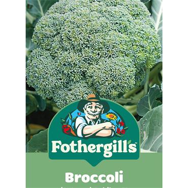 BROCCOLI (AUTUMN) BABILON F1