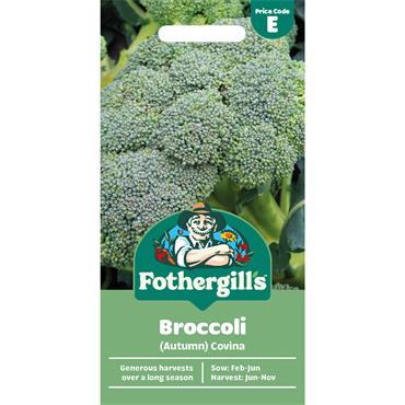 BROCCOLI (AUTUMN)  COVINA