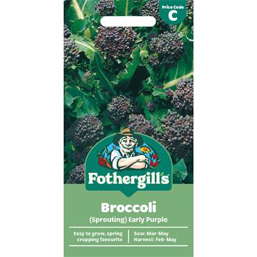BROCCOLI (SPROUTING) EARLY PURPLE
