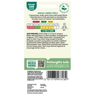 BROCCOLI (SPROUTING) SUMMER PURPLE