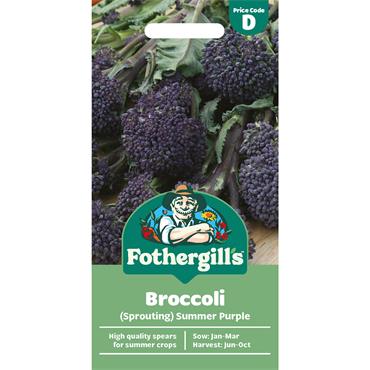 BROCCOLI (SPROUTING) SUMMER PURPLE