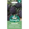BROCCOLI (SPROUTING) SUMMER PURPLE