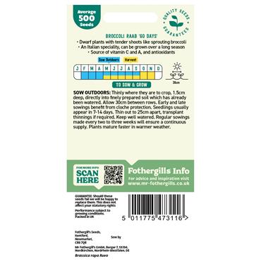 BROCCOLI RAAB (60 DAYS)