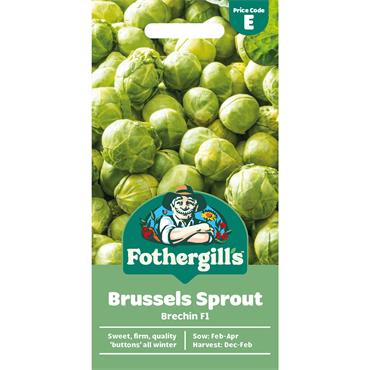 BRUSSELS SPROUT BRECHIN F1
