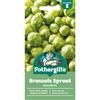 BRUSSELS SPROUT BRECHIN F1