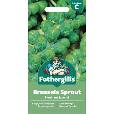 BRUSSELS SPROUT EVESHAM SPECIAL