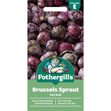 BRUSSELS SPROUT RED BULL