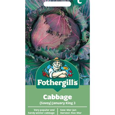 CABBAGE (SAVOY) JANUARY KING 3