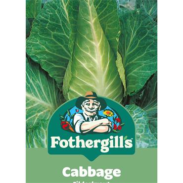 CABBAGE FILDERKRAUT