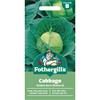 CABBAGE GOLDEN ACRE (PRIMO II)