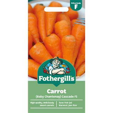 CARROT (BABY CHANTENAY) CASCADE F1