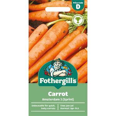 CARROT AMSTERDAM 3 (SPRINT)