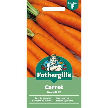 CARROT NORFOLK F1