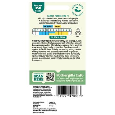CARROT PURPLE SUN F1
