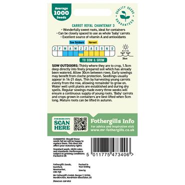 CARROT ROYAL CHANTENAY 3