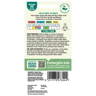 CAULIFLOWER AALSMEER