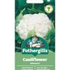CAULIFLOWER AALSMEER