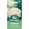 CAULIFLOWER ALL THE YEAR ROUND