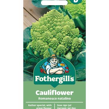 CAULIFLOWER ROMANESCO NATALINO