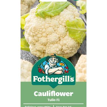 CAULIFLOWER TULIO F1