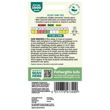 CELERY GIANT RED