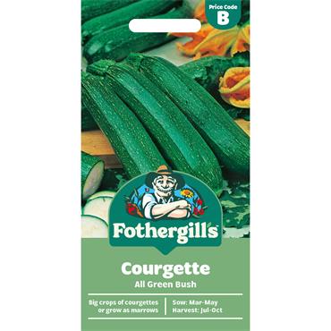 COURGETTE ALL GREEN BUSH