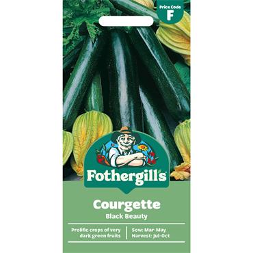 COURGETTE BLACK BEAUTY