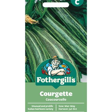 COURGETTE COUCOURZELLE