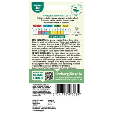 COURGETTE SHOOTING STAR F1
