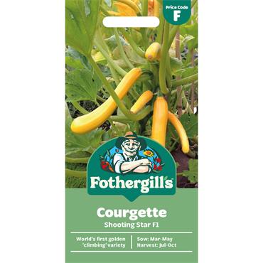COURGETTE SHOOTING STAR F1