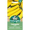 COURGETTE SOLEIL F1