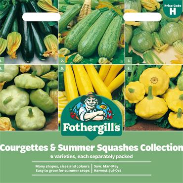 COURGETTES & SUMMER SQUASHES COLLECTION