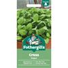 PEPPER CRESS