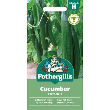 CUCUMBER CARMEN F1