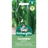 CUCUMBER CARMEN F1