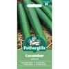 CUCUMBER LOUISA F1