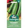 CUCUMBER PASSANDRA F1