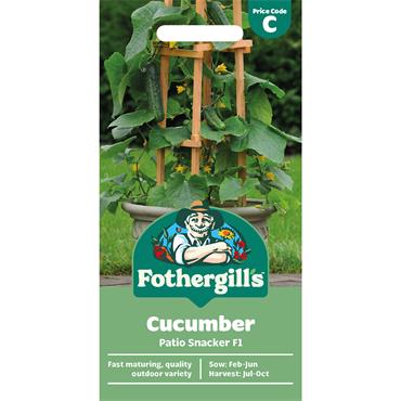 CUCUMBER PATIO SNACKER F1