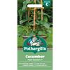 CUCUMBER PATIO SNACKER F1