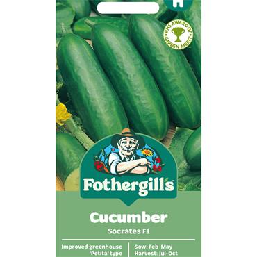 CUCUMBER SOCRATES F1