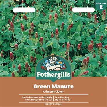 GREEN MANURE CRIMSON CLOVER