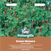 GREEN MANURE CRIMSON CLOVER