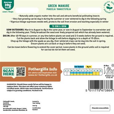 GREEN MANURE PHACELIA TANACETIFOLIA