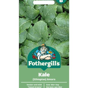 KALE (ETHIOPIAN) AMARA