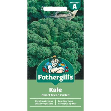 KALE DWARF GREEN CURLED