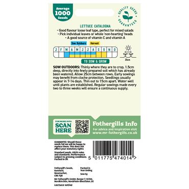 LETTUCE CATALOGNA