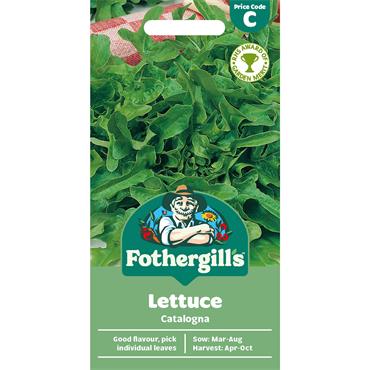 LETTUCE CATALOGNA