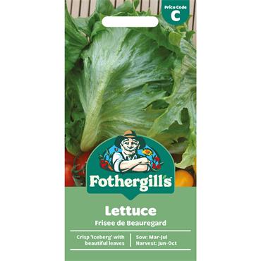 LETTUCE FRISEE DE BEAUREGARD