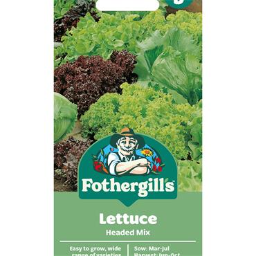 LETTUCE HEADED MIX