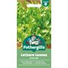 LETTUCE LEAVES GREEN MIX